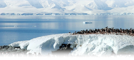 Inspire Antarctic Expedition 2009, 14-27 March 2009, Antarctica