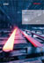 China's Iron and Steel Industry amid the Financial Crisis