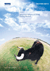 Securities Industry in China: Finding the bull
